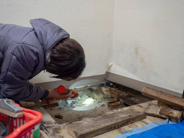 Biohazard Mold Removal in Burlington, KS