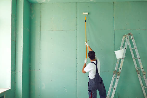 Best Commercial Mold Inspection  in Burlington, KS