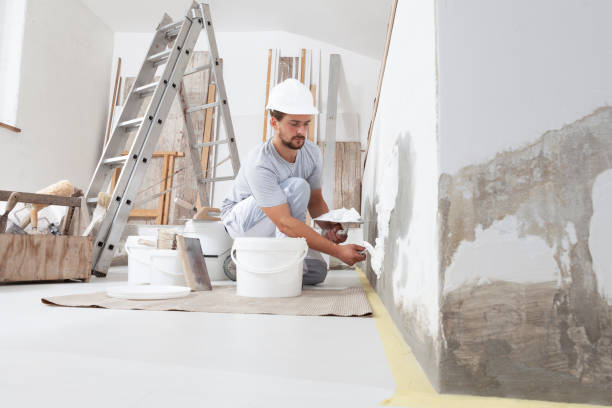 Best Asbestos and Lead Testing During Mold Inspection  in Burlington, KS