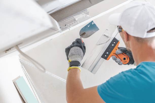  Burlington, KS Mold Removal Pros